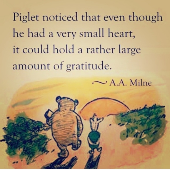 ⚜️ VINTAGE  Pale PINK LACE PLACEMATS w/CUT OUTS - Picture 7 of 16